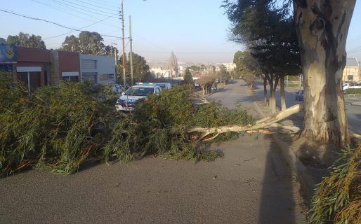 La ráfaga más fuerte fue de 141 km/h esta mañana