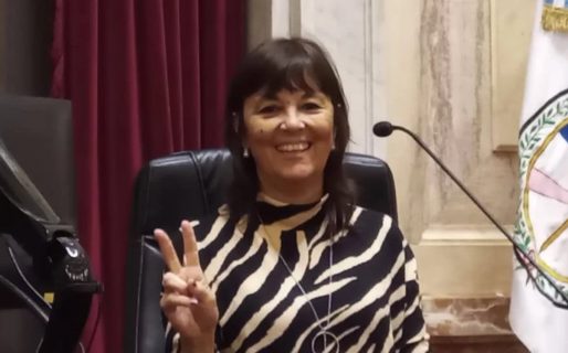 «Somos espectadores de una derrota electoral»: Ana Amato renunció al PJ