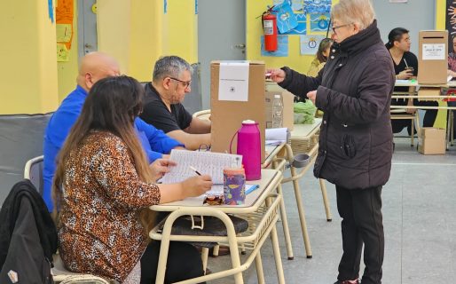 Analistas desconocen a quién beneficiaría una baja participación en las PASO
