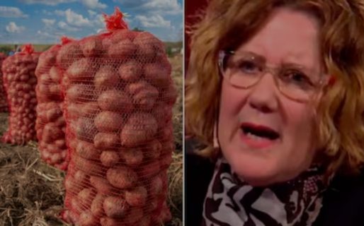 Polémica por el precio de la papa: entre lo que cobra el productor y lo que paga el público hay una brecha de 400%