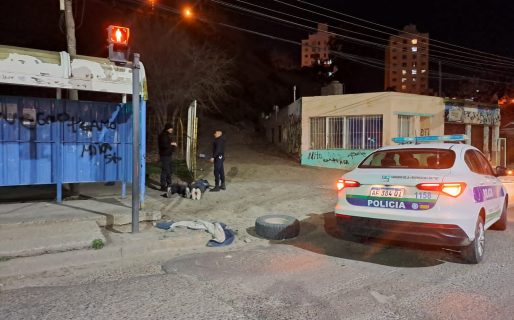 Dos jóvenes robaron una cubierta e intentaron escapar usando el colectivo: fueron detenidos