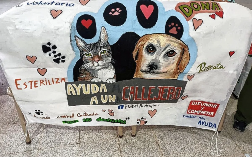 Estudiantes de la Escuela Nº 737 donaron 1.500 kilos de alimento a mascoteros