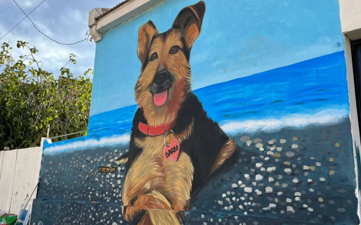 Caso Barbi: confirmaron la investigación hacia el hombre que la mató