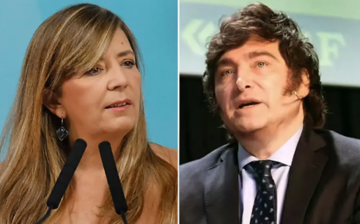 El Gobierno apuntó contra Javier Milei por la difusión de las imágenes de saqueos: “Quieren desestabilizar”