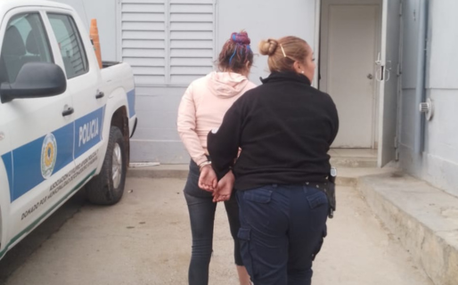 Tenía pedido de captura, quiso escapar de la policía pero fue detenida