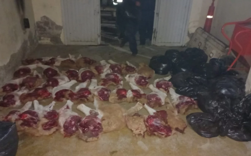 Secuestraron 800 kilos de carne de guanaco durante un patrullaje policial