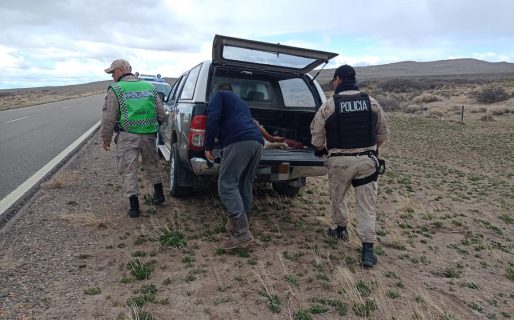 Intentó evadir un control en Ruta 26 porque llevaba guanacos faeneados