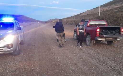 Lo pararon en un control policial y llevaba carne de ternero faenado