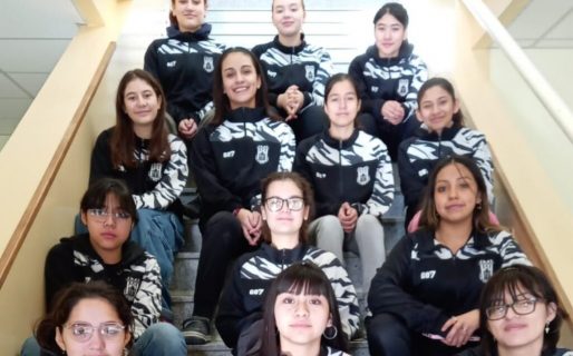 Nueva Generación y Petroquímica al Torneo Provincial Menores de handball