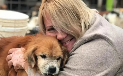Dejó todo, dedicó su vida a rescatar perros de la calle y va por más: “Sueño con tener un quirófano móvil”