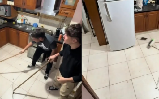 Una rata se metió en la cocina, quisieron sacarla y el final fue inesperado