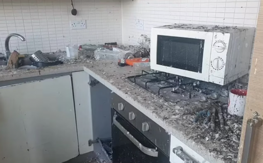 Cometió un imperdonable error en su departamento, las palomas lo destruyeron y pagará una fortuna por daños