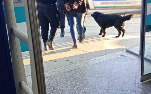 Quiso robarse carne, chorizos y queso cremoso de un supermercado y fue demorada