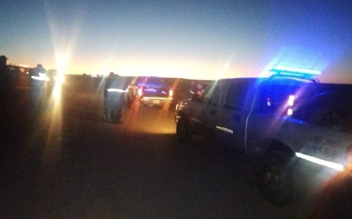 Tres hombres fueron sorprendidos con restos de guanacos y liebres