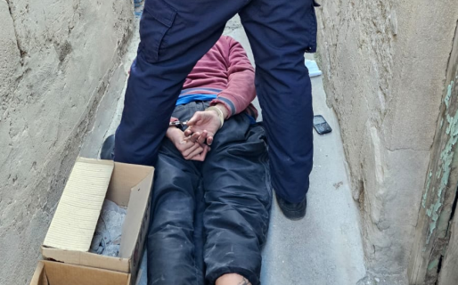 Vio un ladrón en su casa y usó un revólver para reducirlo