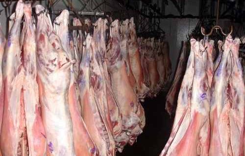 El cordero, a precio récord: ¿Cuánto vale el kilo en la ciudad?