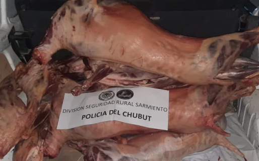Clausuran una carnicería por vender carne ovina sin sellos