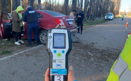 Dijo haber despistado por «esquivar un conejo» pero en realidad iba alcoholizado