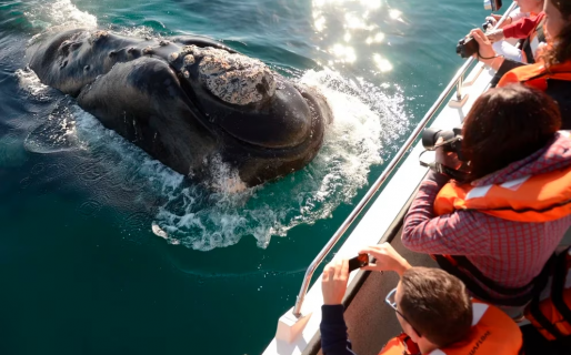 Previaje 5: hoy es el último día para hacer las reservas y acceder a la devolución de hasta 100.000 pesos