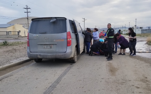 Por un perro suelto que persiguía a un grupo de niños, uno de ellos fue atropellado