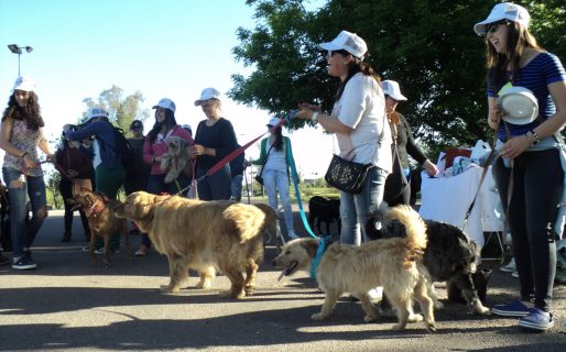 Este viernes se realizará una nueva edición de la «Caninata Saludable»