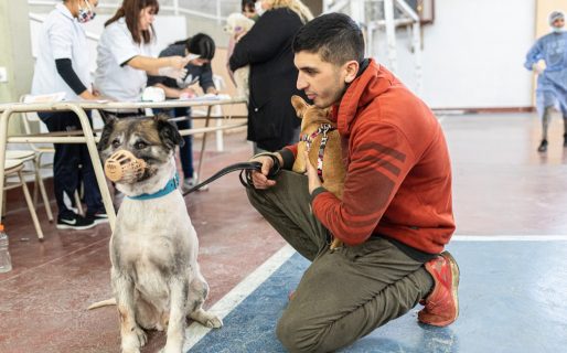 Este viernes habrá una jornada de Vacunación Antirrábica y Desparasitación gratuita para perros y gatos
