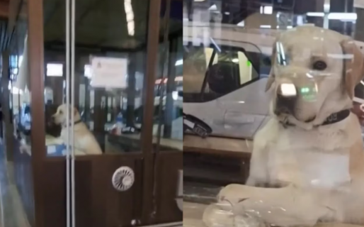 Fue a la frontera entre Argentina y Chile y se hizo viral por un detalle que la descolocó