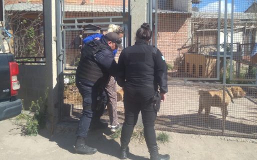 Una mujer asaltó e hirió con un cuchillo a una adolescente de 15 años