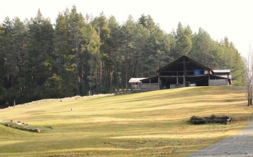 Millonario golpe comando contra un establecimiento rural de Cholila