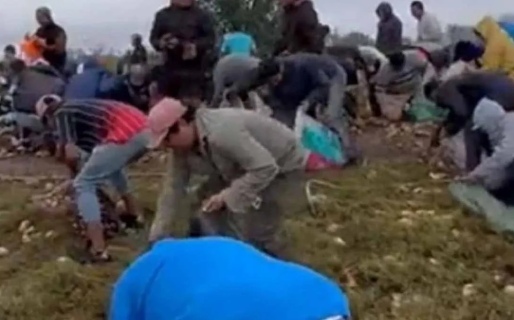 Desesperación por robar un camión de papas