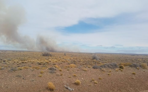 Logran controlar un incendio de campos que afectó dos kilómetros