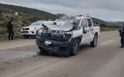 Una camioneta chocó contra un caballo en Ruta 39