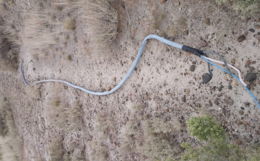 Dos hermanos atrapados robando cables atrás del Predio Ferial