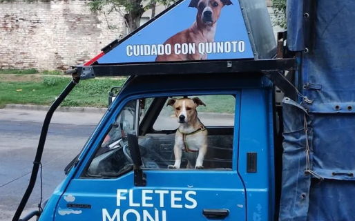 Amor incondicional: un fletero no ingresa a un country por un particular motivo