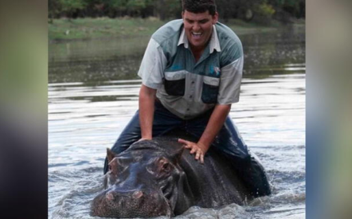El trágico final del hombre que crió a un hipopótamo desde bebé