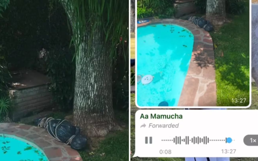 Un jardinero le avisó a una mujer que había un cadáver en el patio de su casa y se volvió viral