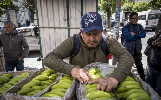 Paraguay y Bolivia suspendieron la exportación de bananas a la Argentina por falta de pago