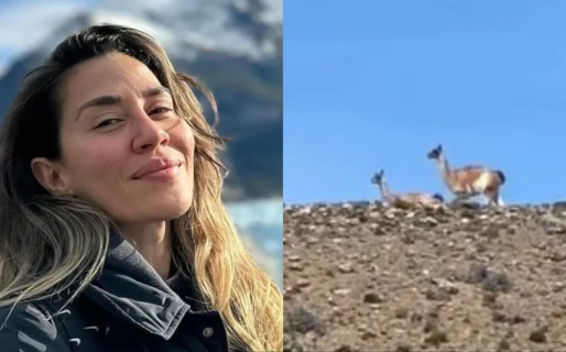 Jimena Barón disfrutó de los guanacos en El Calafate: primero los avistó y luego se los comió