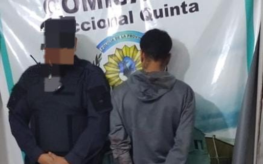 Ingresó a una casa a robar mientras los dueños dormían y fue reducido a golpes