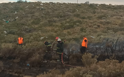 Incendio de origen desconocido es sofocado en cercanías de un reconocido hotel