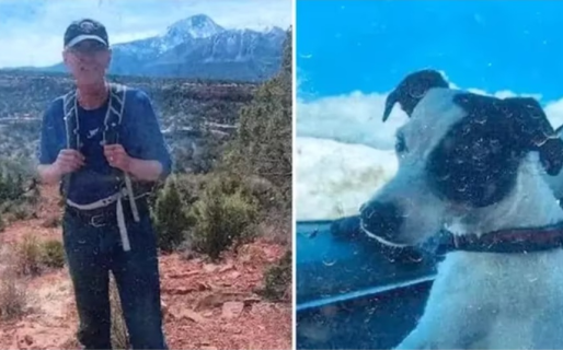 Encontraron muerto a un senderista desaparecido desde agosto: su perro seguía vivo y a su lado