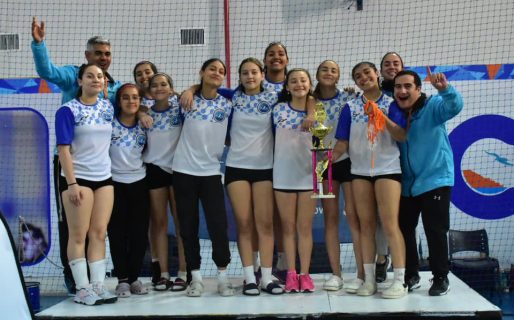 Chubut y Río Negro los ganadores de la VI Edición de los CaPaProv
