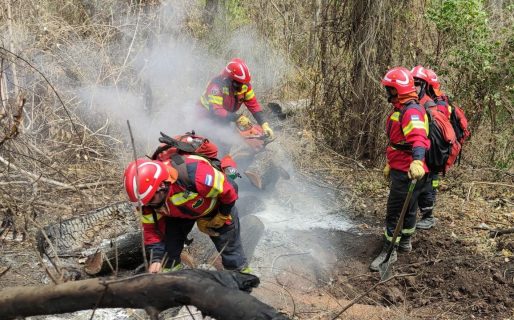 Brigadistas de Chubut realizan un paro de 48 horas en reclamo de mejoras salariales y mayor equipamiento