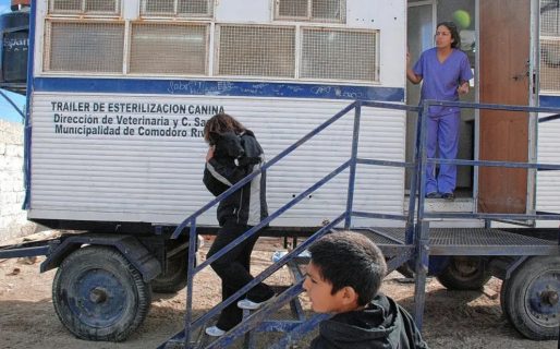 Proteccionistas piden la vuelta del tráiler de castración a zona sur: “no todas las Vecinales están comprometidas”