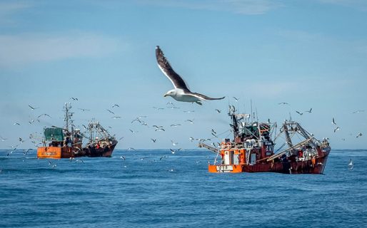 González: “Se suspendió la temporada de langostino por la irresponsabilidad del SUPA”