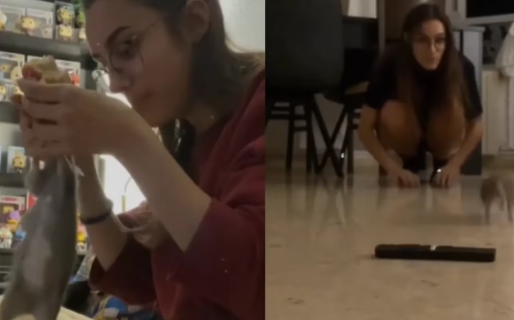 Encontró una rata en la basura, la adoptó como mascota y ahora almuerza con ella