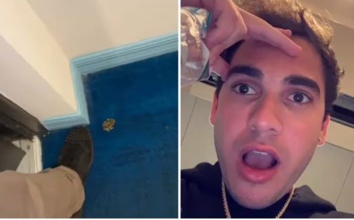 Encontró una rana en su habitación, intentó sacarla con el pie y todo salió mal: “No se si reír o llorar”