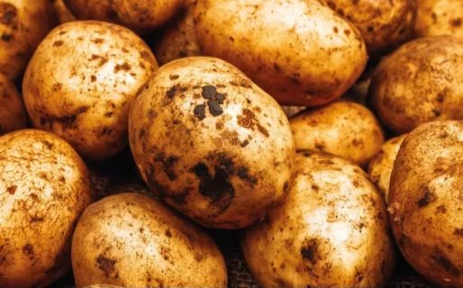 Una familia celebró la Navidad con el “festival de papas”y fue furor en Twitter