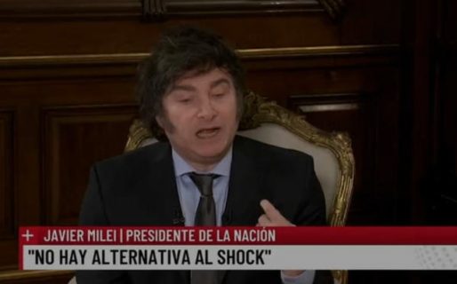 ¿Qué es un plebiscito?: Todo sobre el recurso que usará Milei si se frena el DNU
