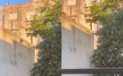 Notó algo extraño desde el balcón de su departamento, salió a investigar y quedó sorprendido